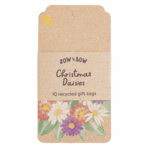 Christmas Daisies Gift Tag 10 Pack