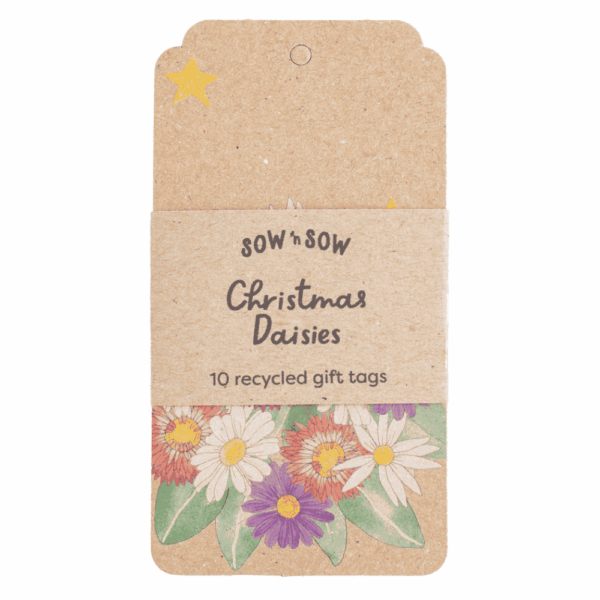 Christmas Daisies Gift Tag 10 Pack