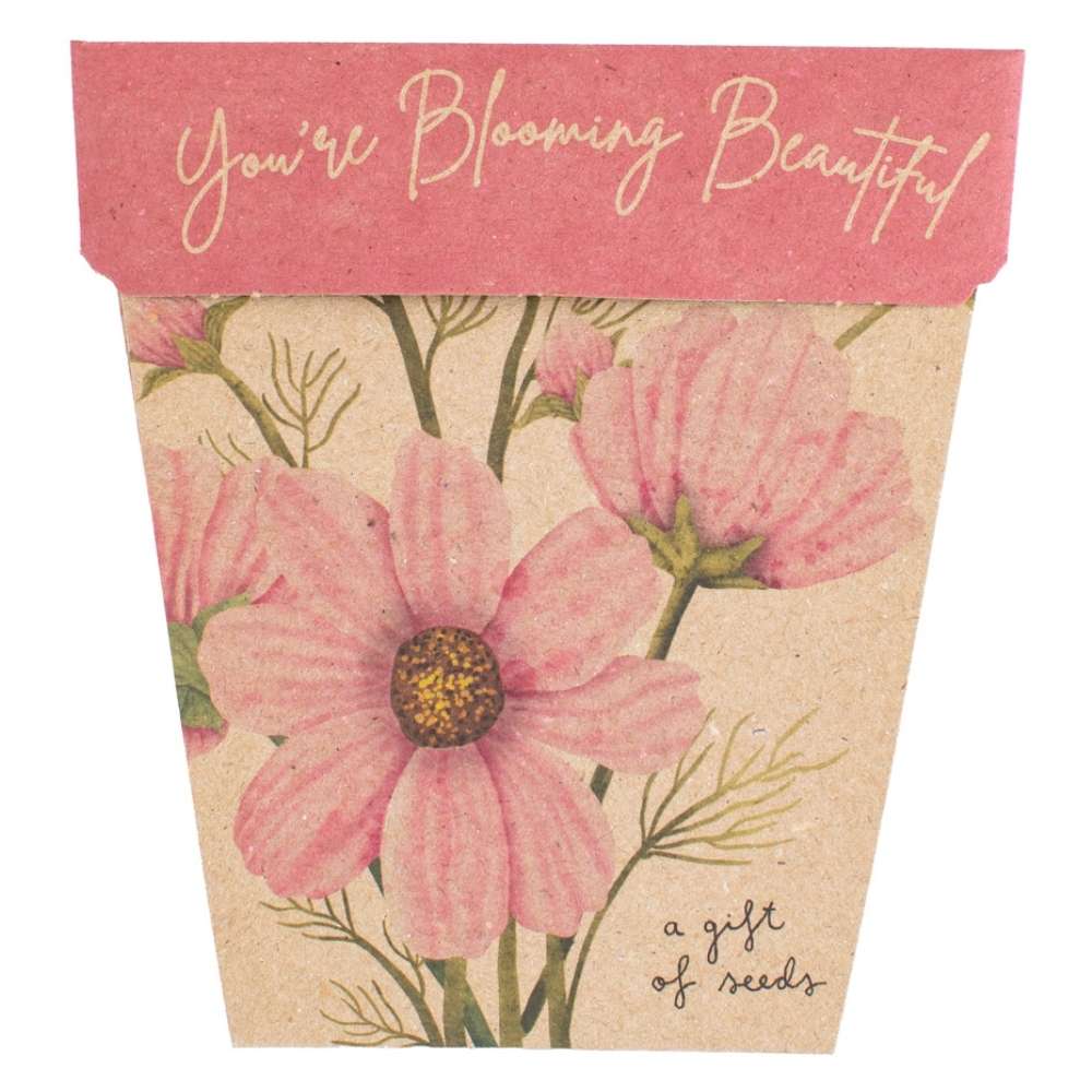'You're Blooming Beautiful' limited edition Gift of Seeds (ws)