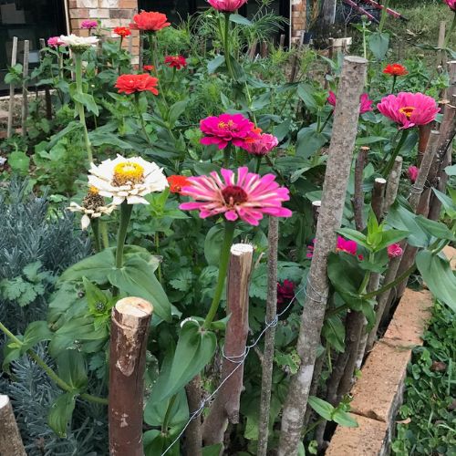 Secret Garden Gift of Seeds - Image 11