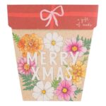 Christmas Blooms Gift of Seeds (ws)