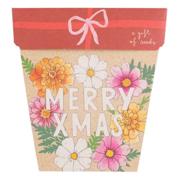 Christmas Blooms Gift of Seeds