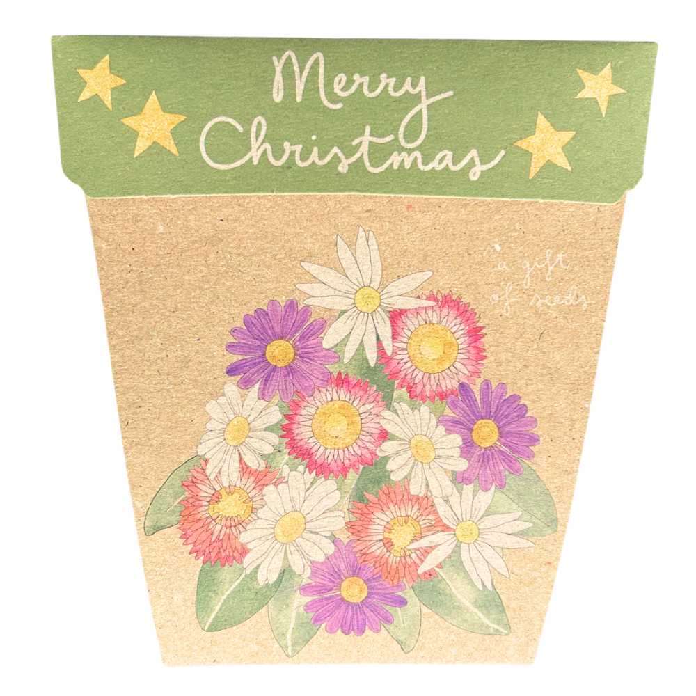 Christmas Native Daisies Gift of Seeds by Sow 'n Sow