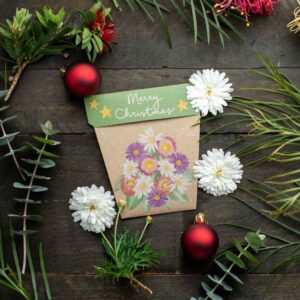 Merry Christmas Native Daisies Gift of Seeds