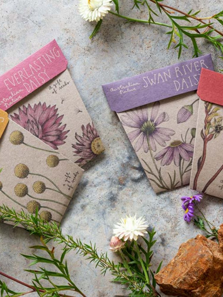 Australia Native Gift of Seeds