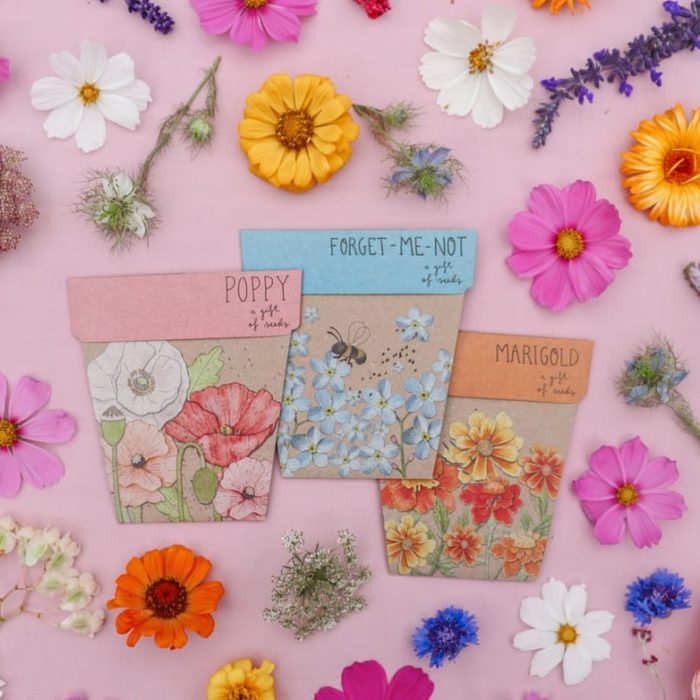 Sustainable seed fundraiser