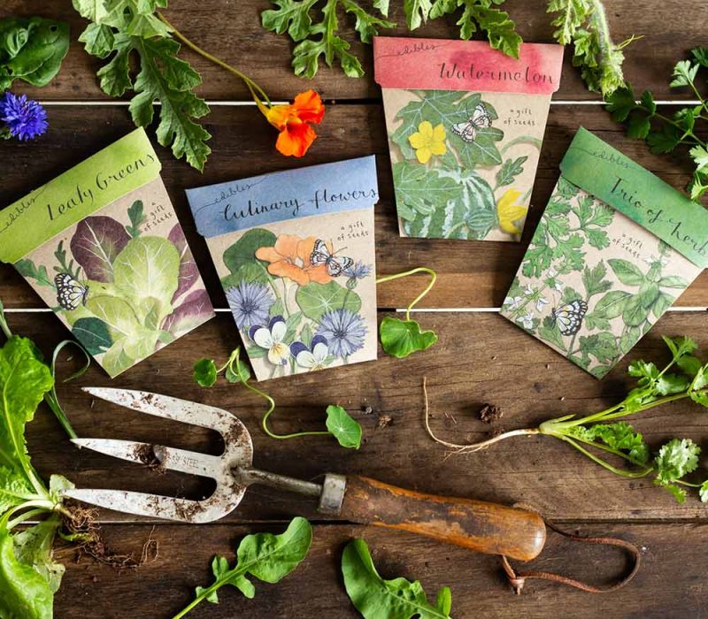 ediblepack_styled_web